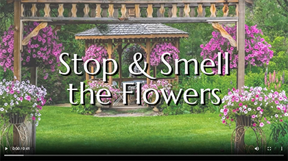 Stop & Smell the Flowers Video